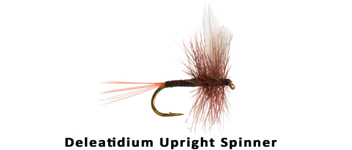 Deleatidium Upright Spinner - Flytackle NZ